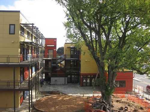 Le pourquoi du comment